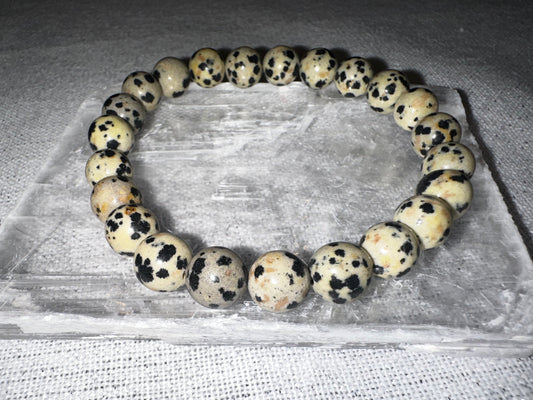 Dalmatian Jasper Crystal Bracelet