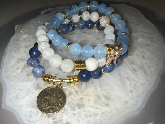Pisces Zodiac Crystal Set